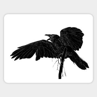 The Hermit Magazine's Raven Magnet